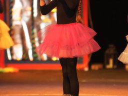 DSC04021